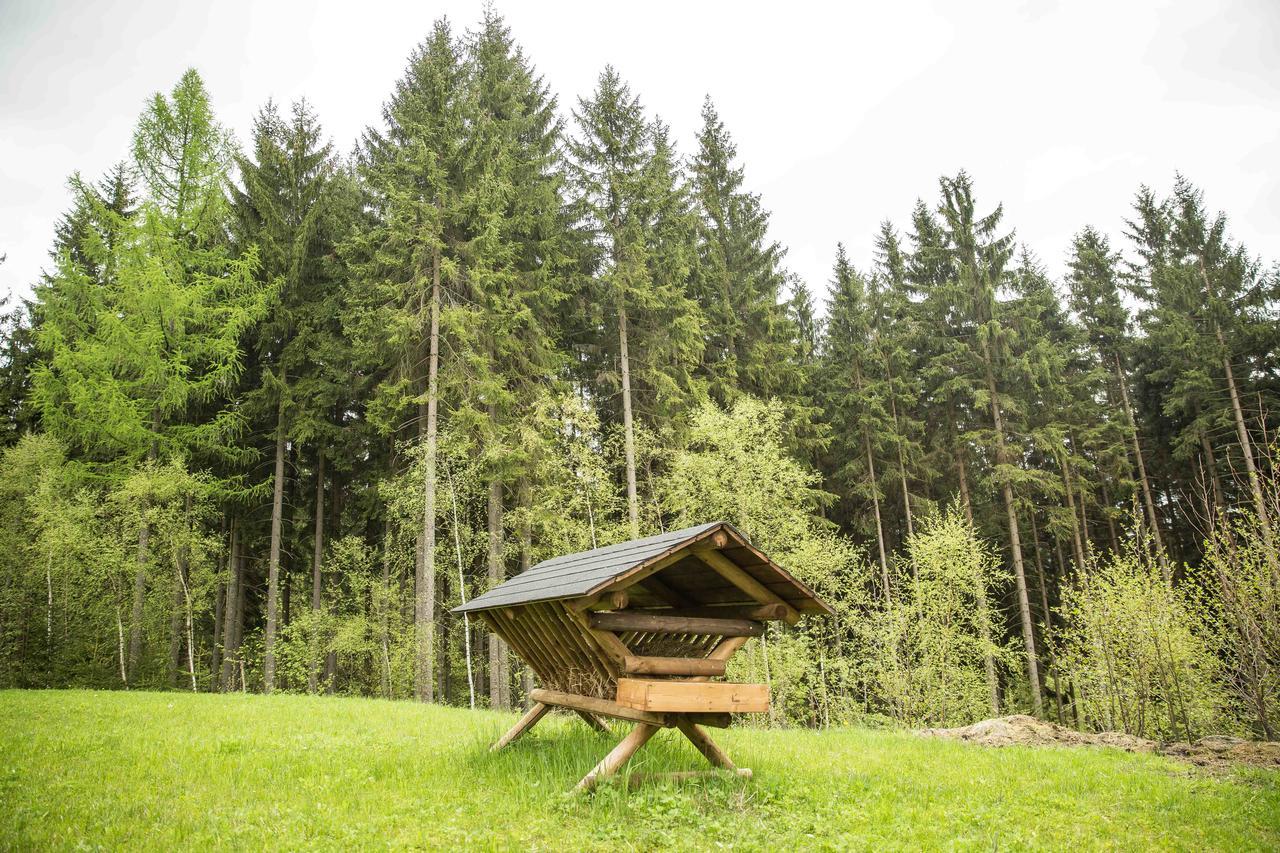 Chalet Harrachov Exteriör bild