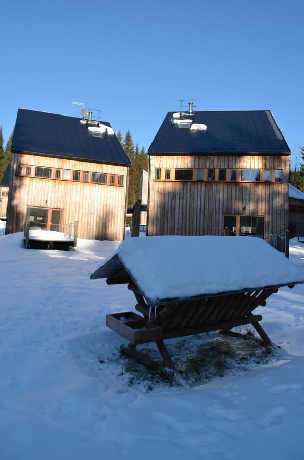 Chalet Harrachov Exteriör bild